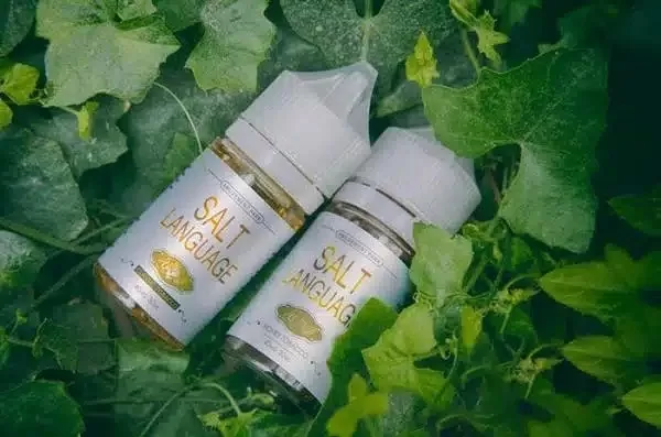SALT LANGUAGE 鹽語煙油推薦|丁鹽小煙專用|台灣現貨 1 SALT LANGUAGE 鹽語煙油 細節特寫