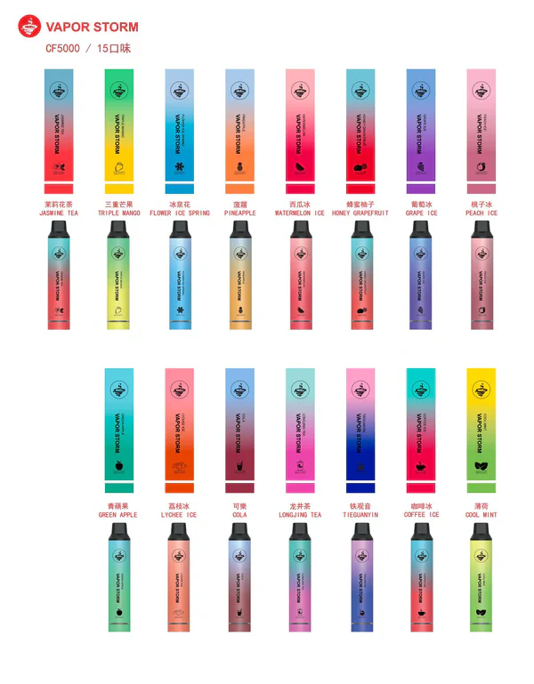 VAPOR STORM 5000 PUFFS 拋棄式電子菸推薦|台灣現貨 2 VAPOR STORM 5000 PUFFS 拋棄式電子菸 產品實拍
